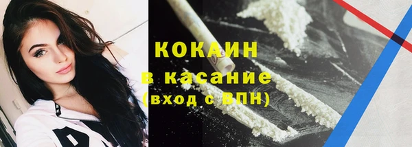 ECSTASY Богданович